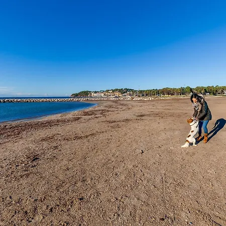 Studio Sanary Sanary-sur-Mer